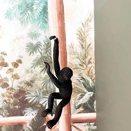 Appartement Jungle *